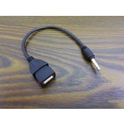 ADAPTER KABEL AUX MINI JACK 3.5 mm USB (MP002_KQ0492_EAM12J)
