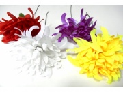 Kwiaty chryzantemy pojedyńcze (1kwML)